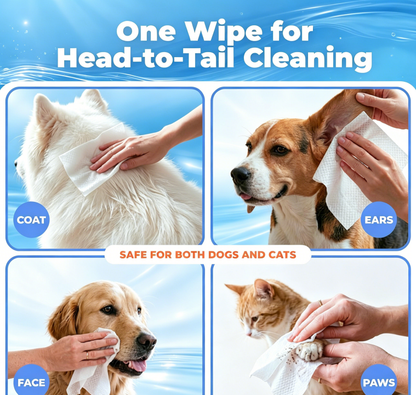 Best Pet Supplies 8" x 9" Large Dog Wipes - Cleaning and Deodorizing for Paws