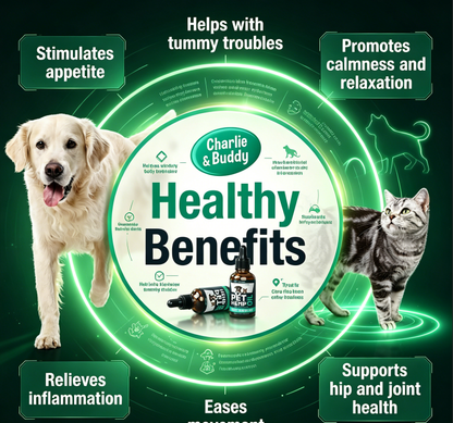 Hemp Оil for Dogs Cats - Helps Pets with Аnxiеty, Pаin, Strеss, Slееp, Аrthritis