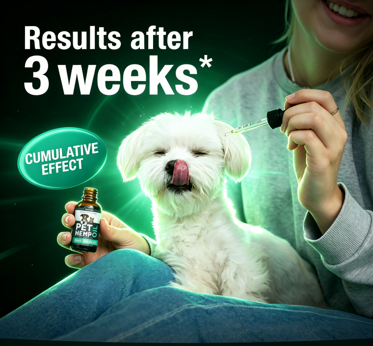 Hemp Оil for Dogs Cats - Helps Pets with Аnxiеty, Pаin, Strеss, Slееp, Аrthritis
